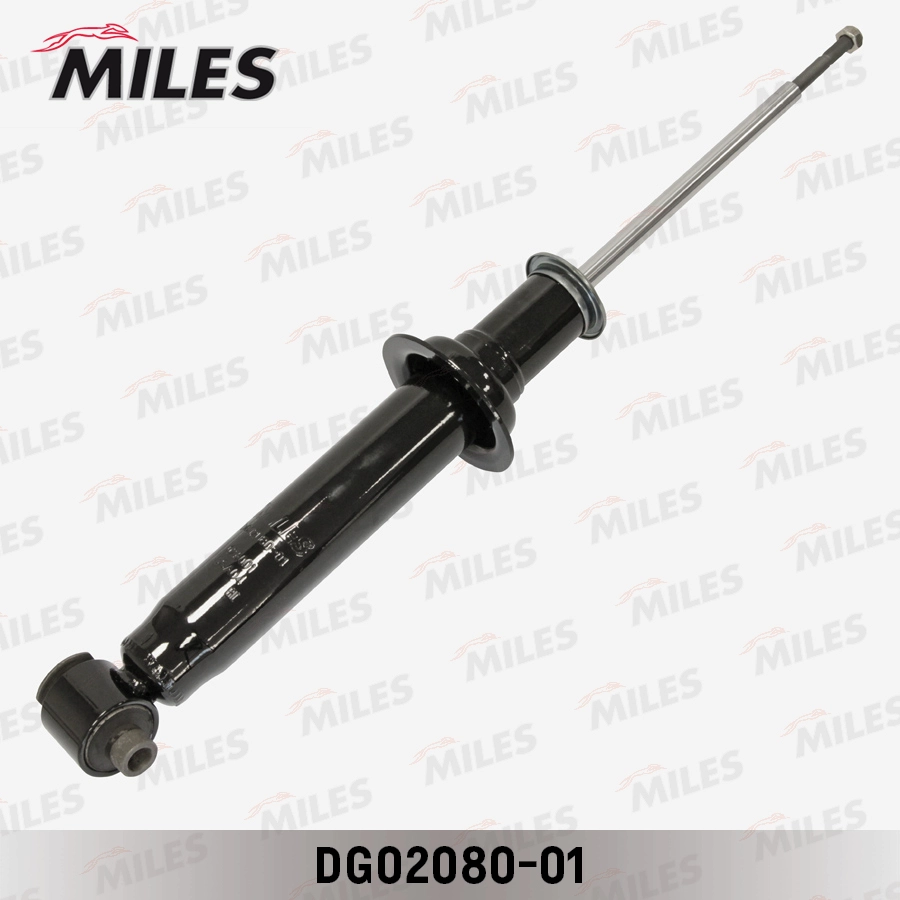 DG02080-01