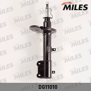 DG11010