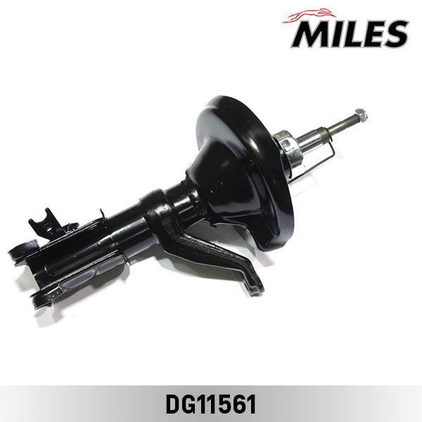 DG11561