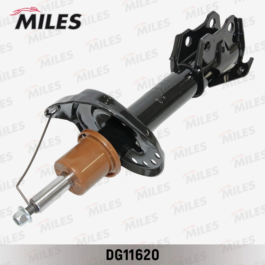 DG11620