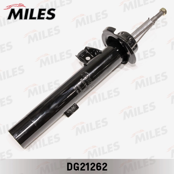 DG21262