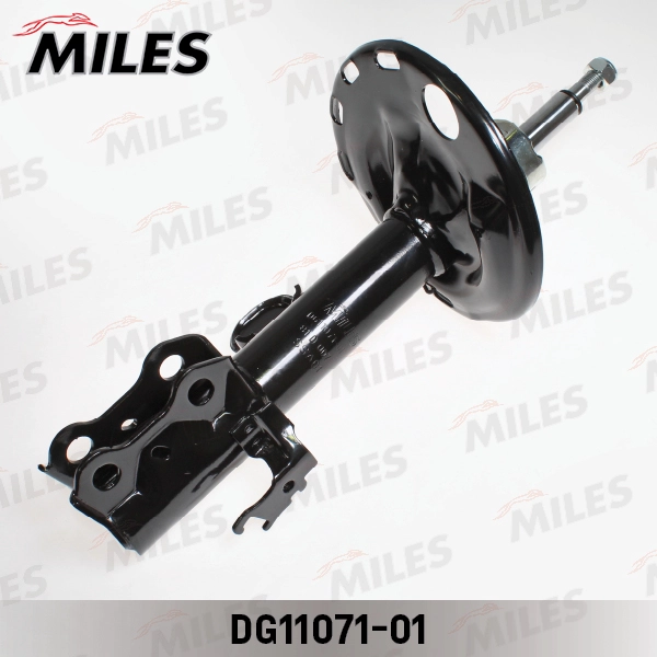 DG11071-01