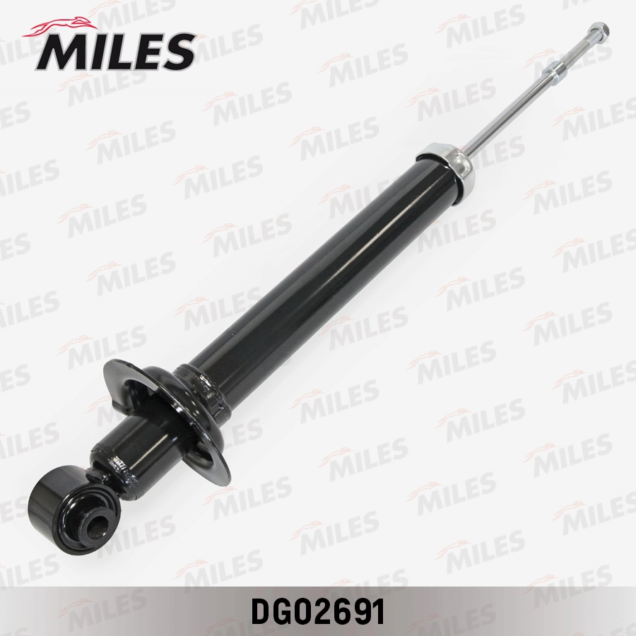 DG02691