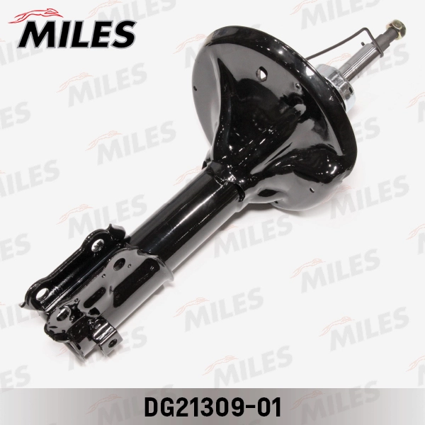 DG21309-01