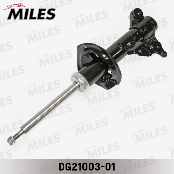 DG21003-01