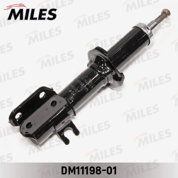 DM11198-01