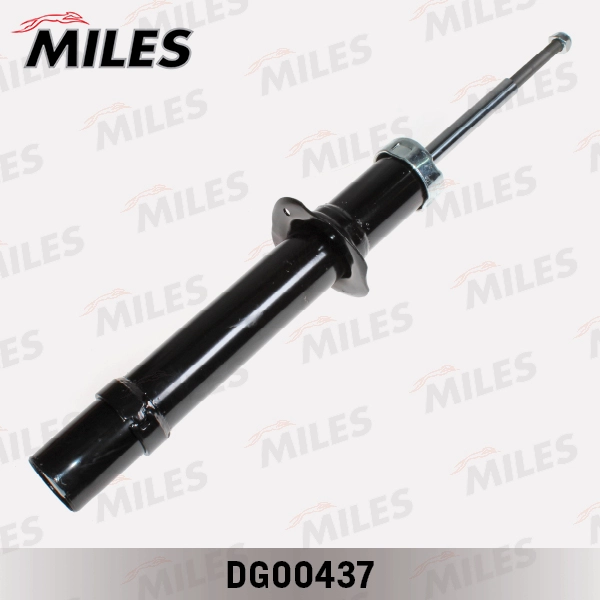 DG00437
