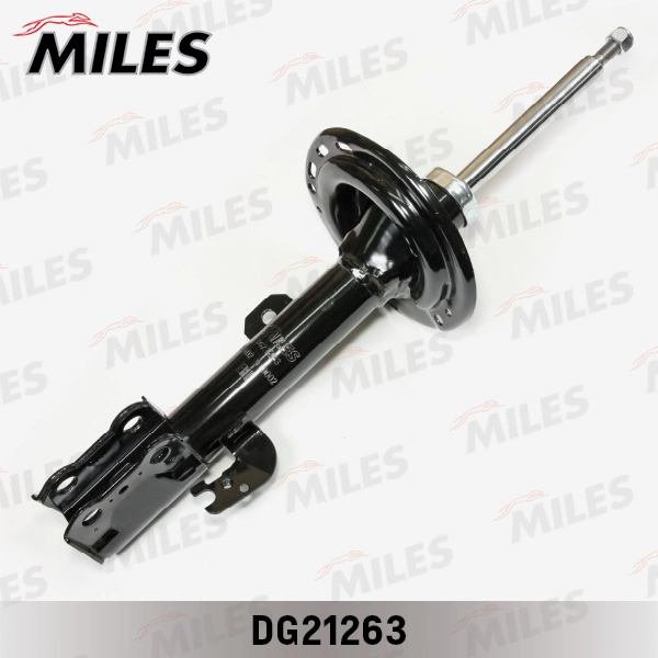 DG21263