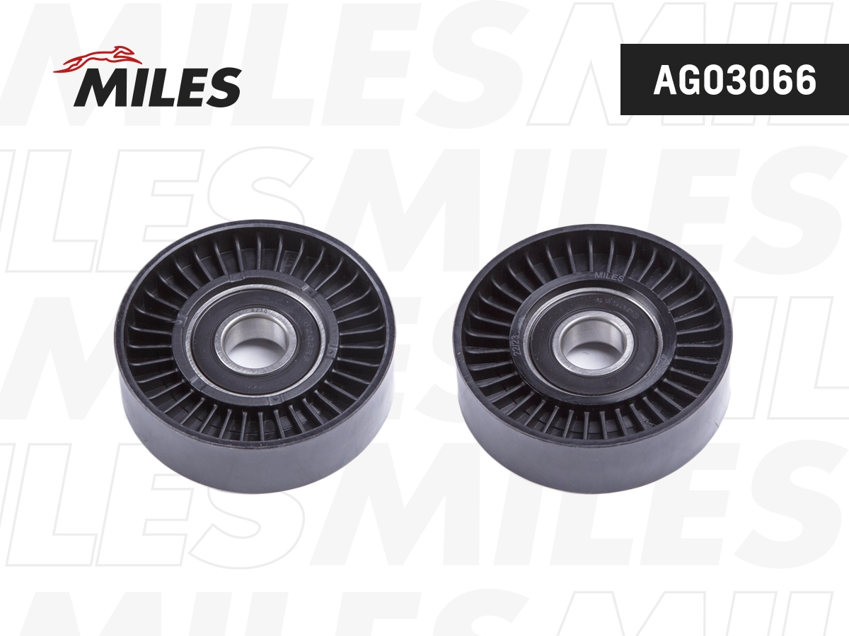 AG03066