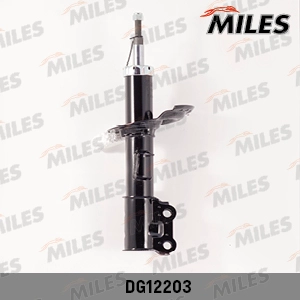DG12203