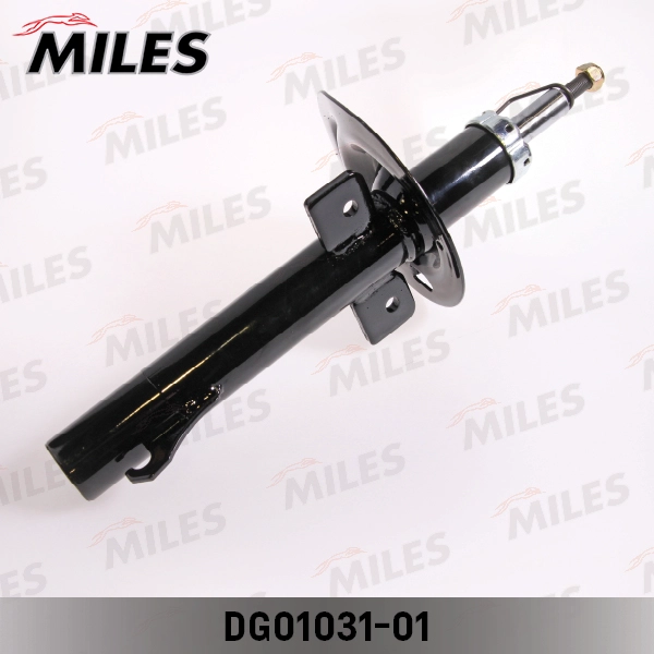 DG01031-01