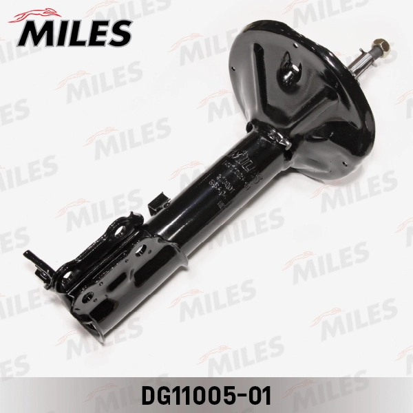 DG11005-01