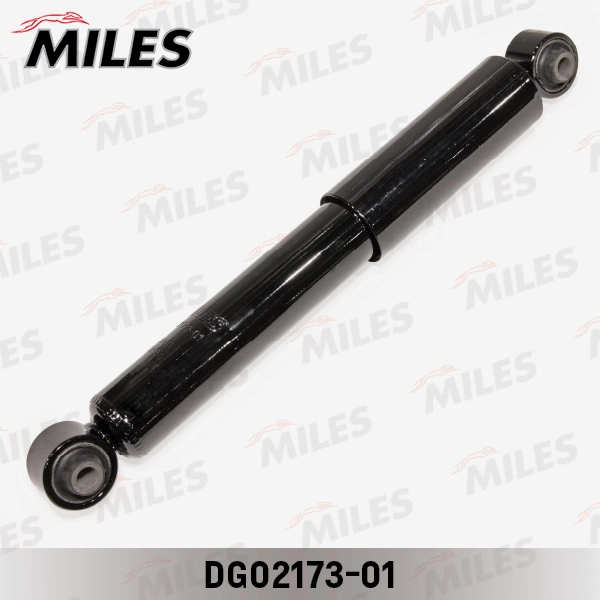 DG02173-01