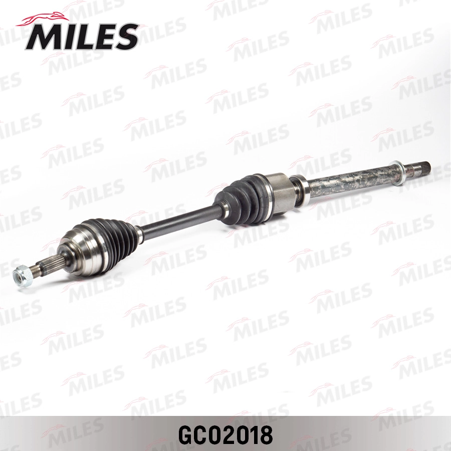 GC02018