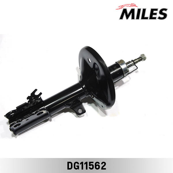 DG11562