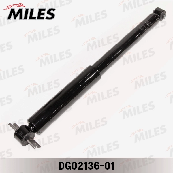 DG02136-01