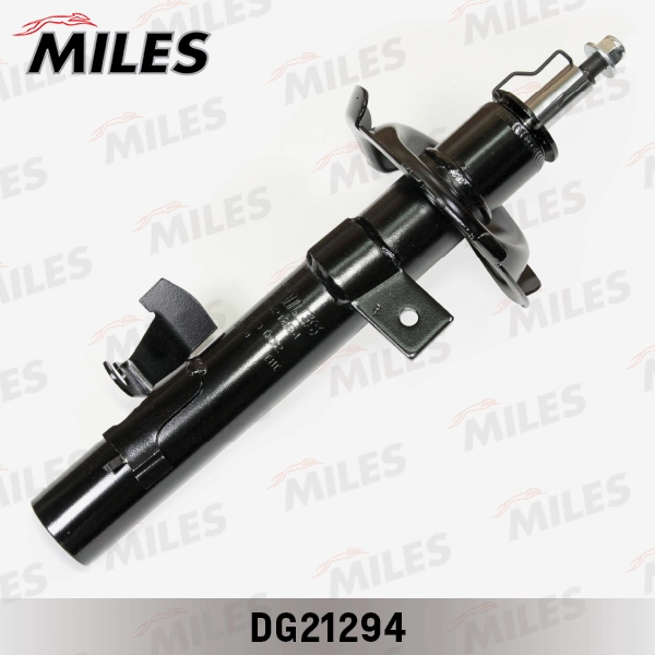 DG21294
