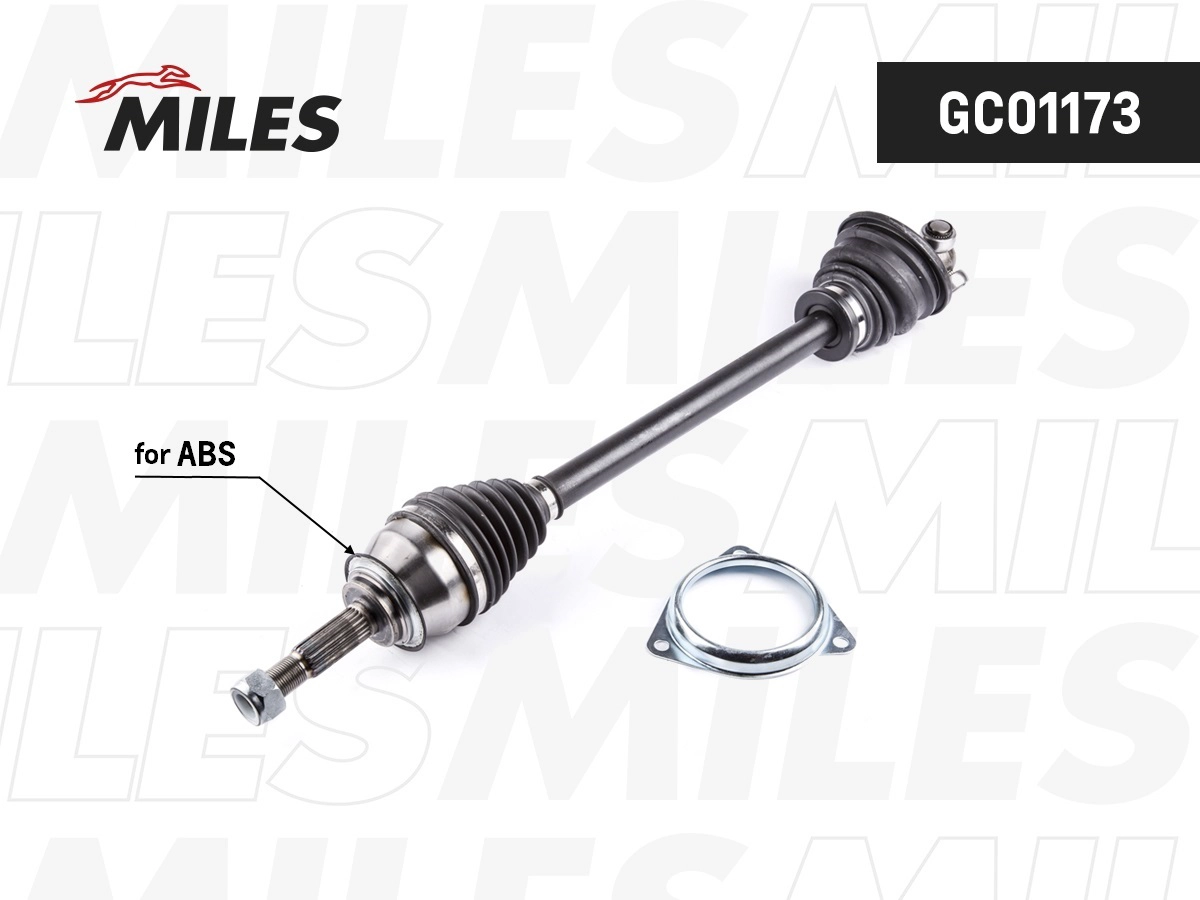 GC01173