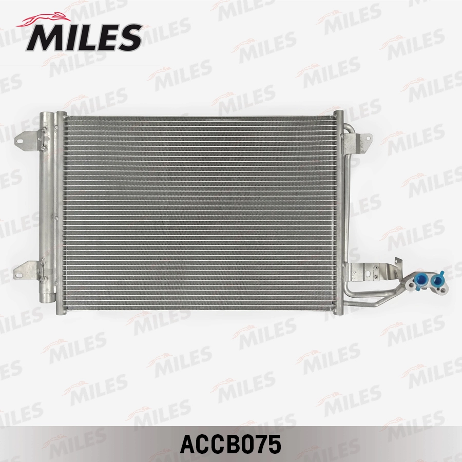 ACCB075