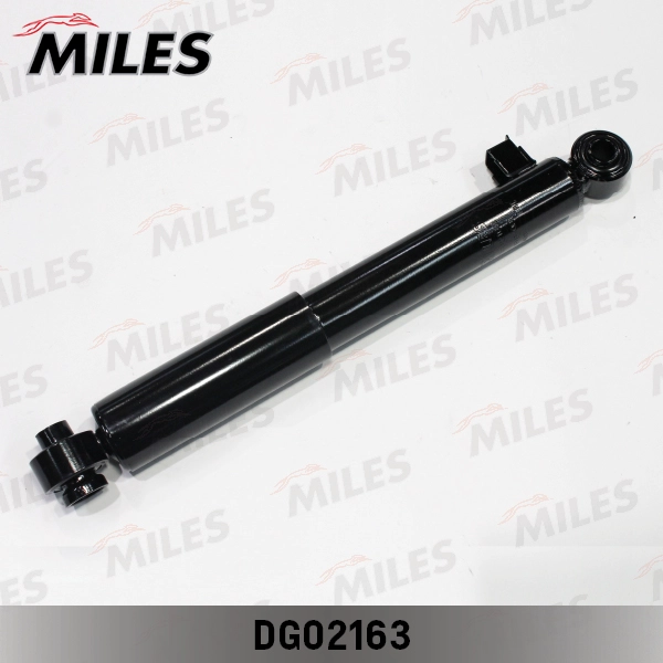 DG02163