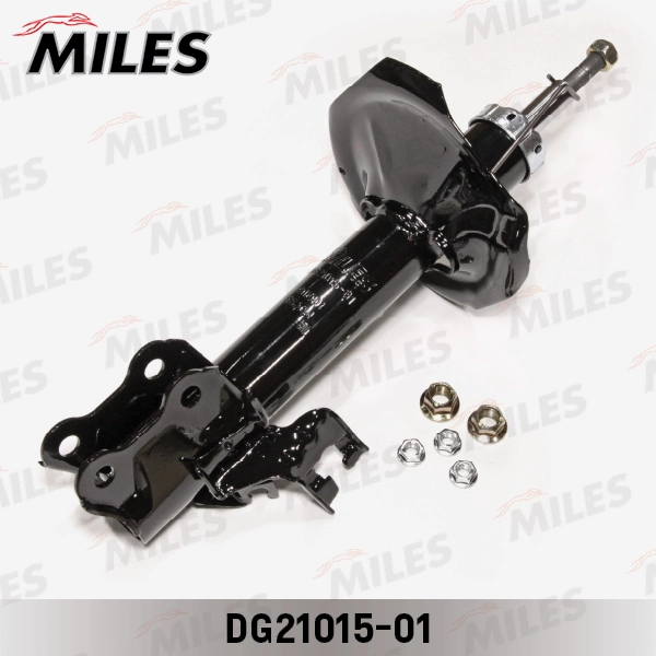 DG21015-01