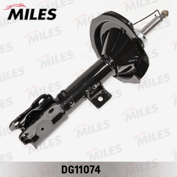 DG11074
