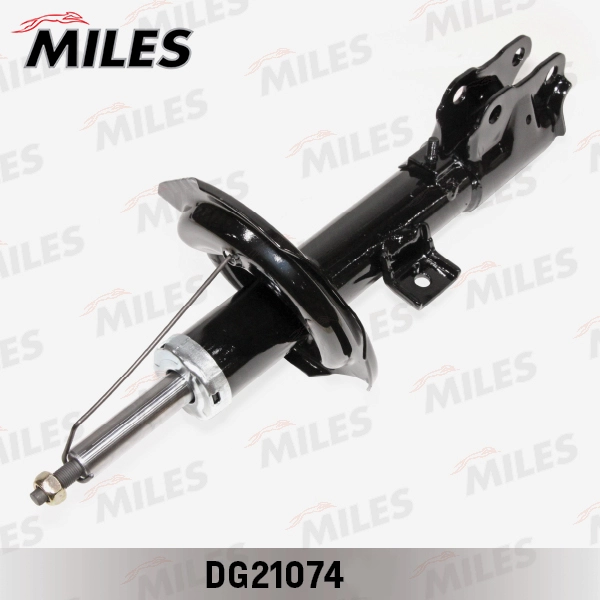 DG21074