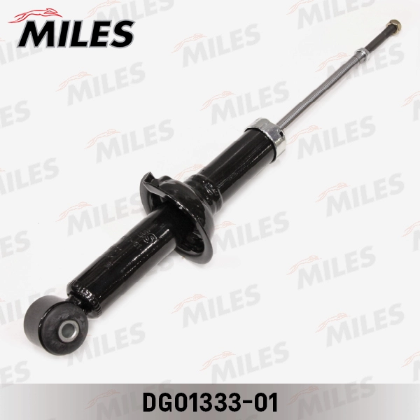 DG01333-01