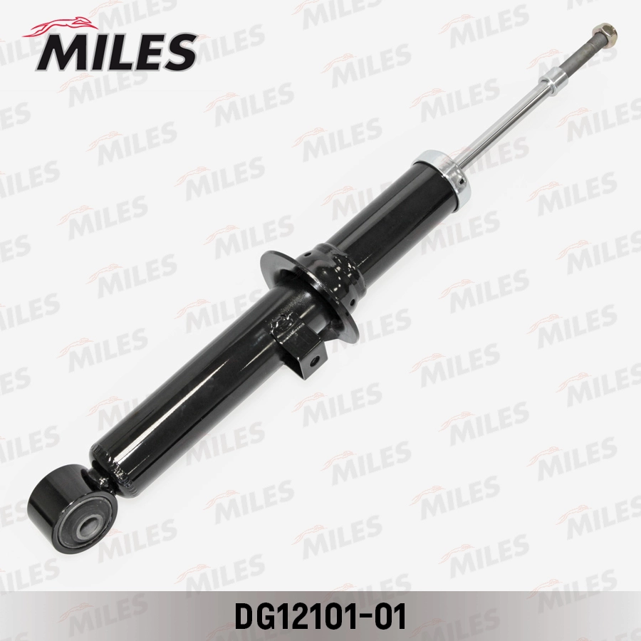DG12101-01