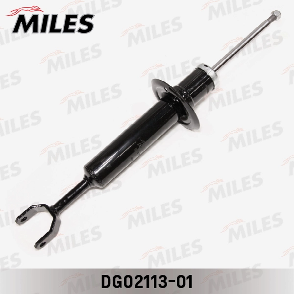 DG02113-01