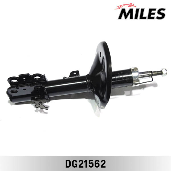 DG21562