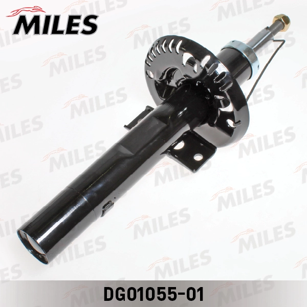DG01055-01