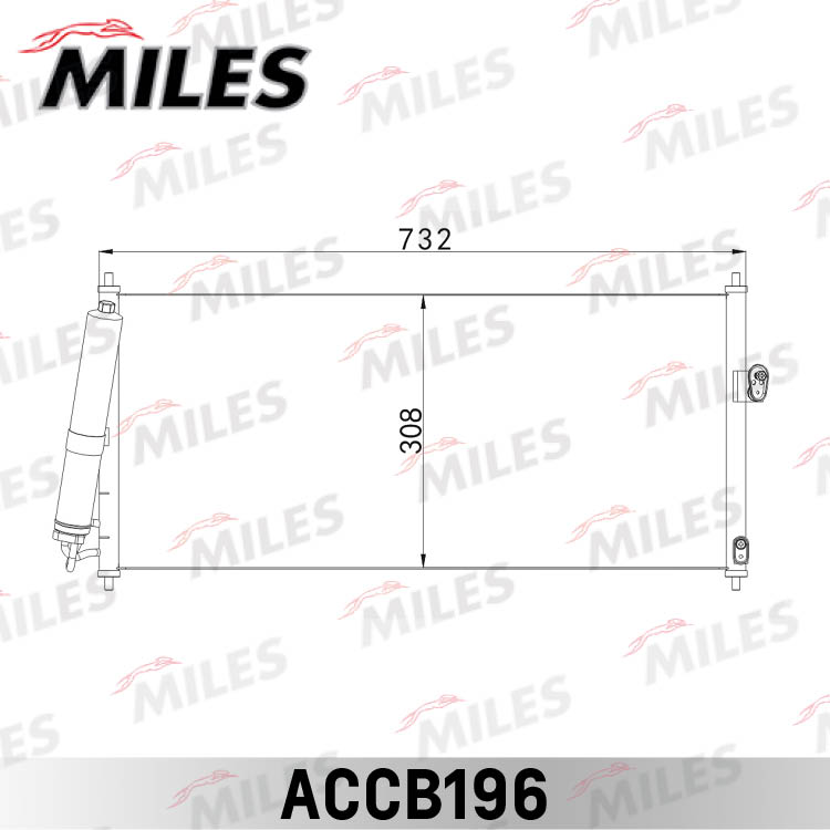 ACCB196
