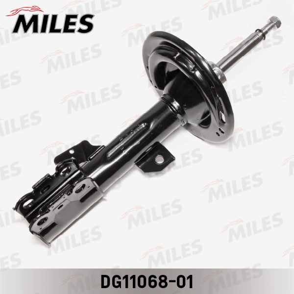 DG11068-01