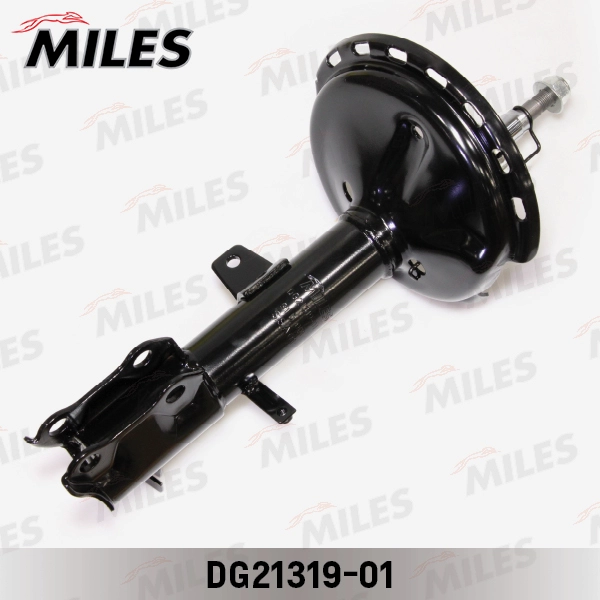 DG21319-01
