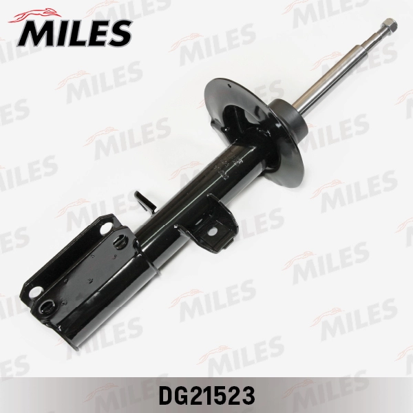 DG21523