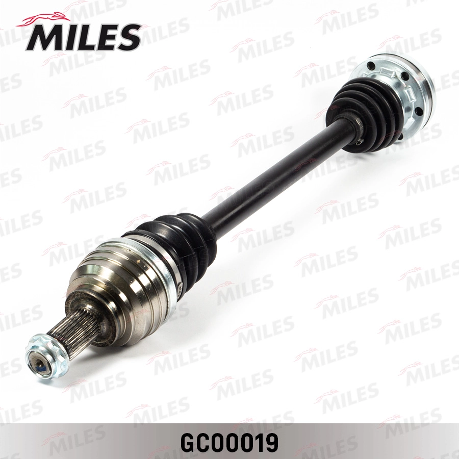 GC00019