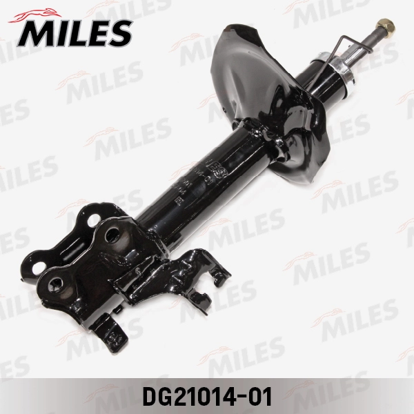 DG21014-01