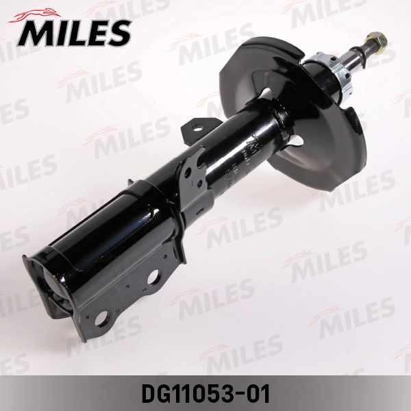 DG11053-01