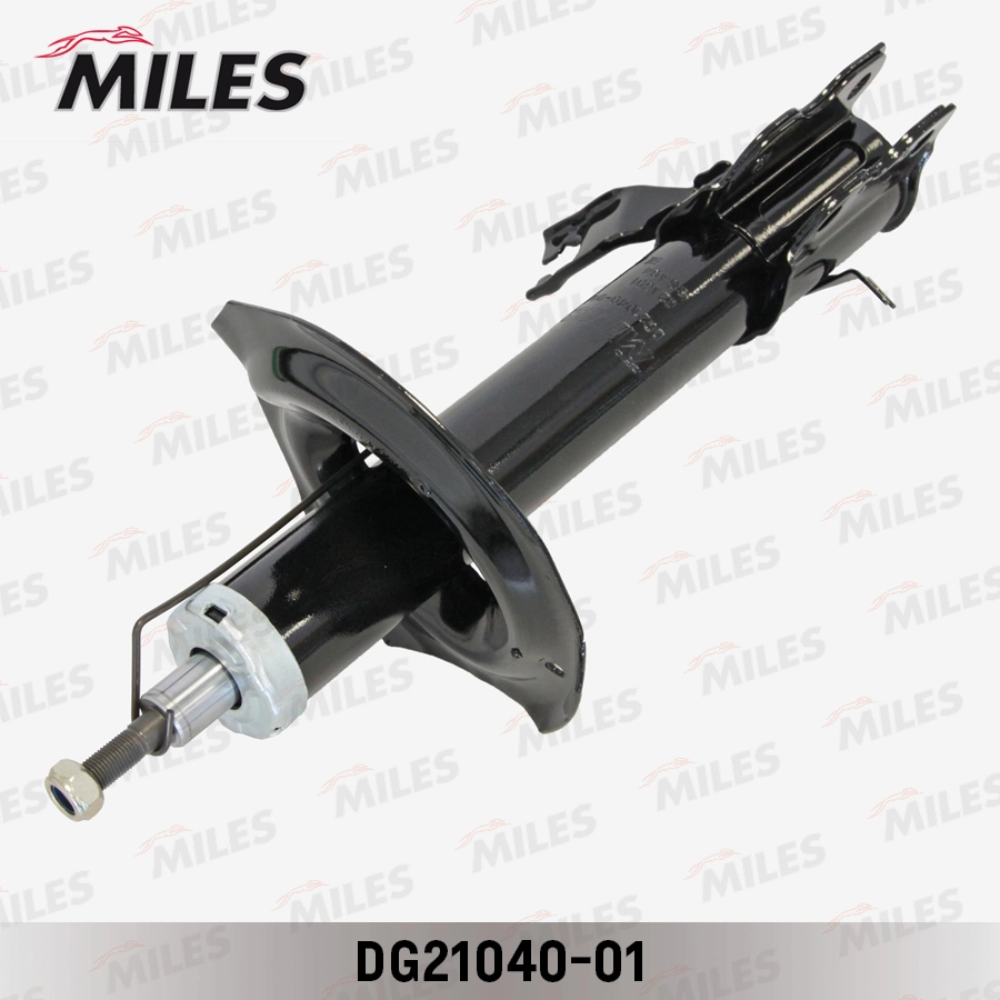 DG21040-01