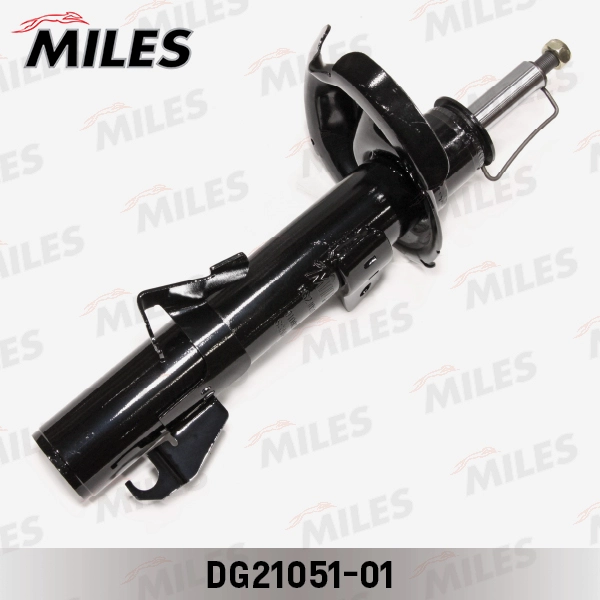 DG21051-01