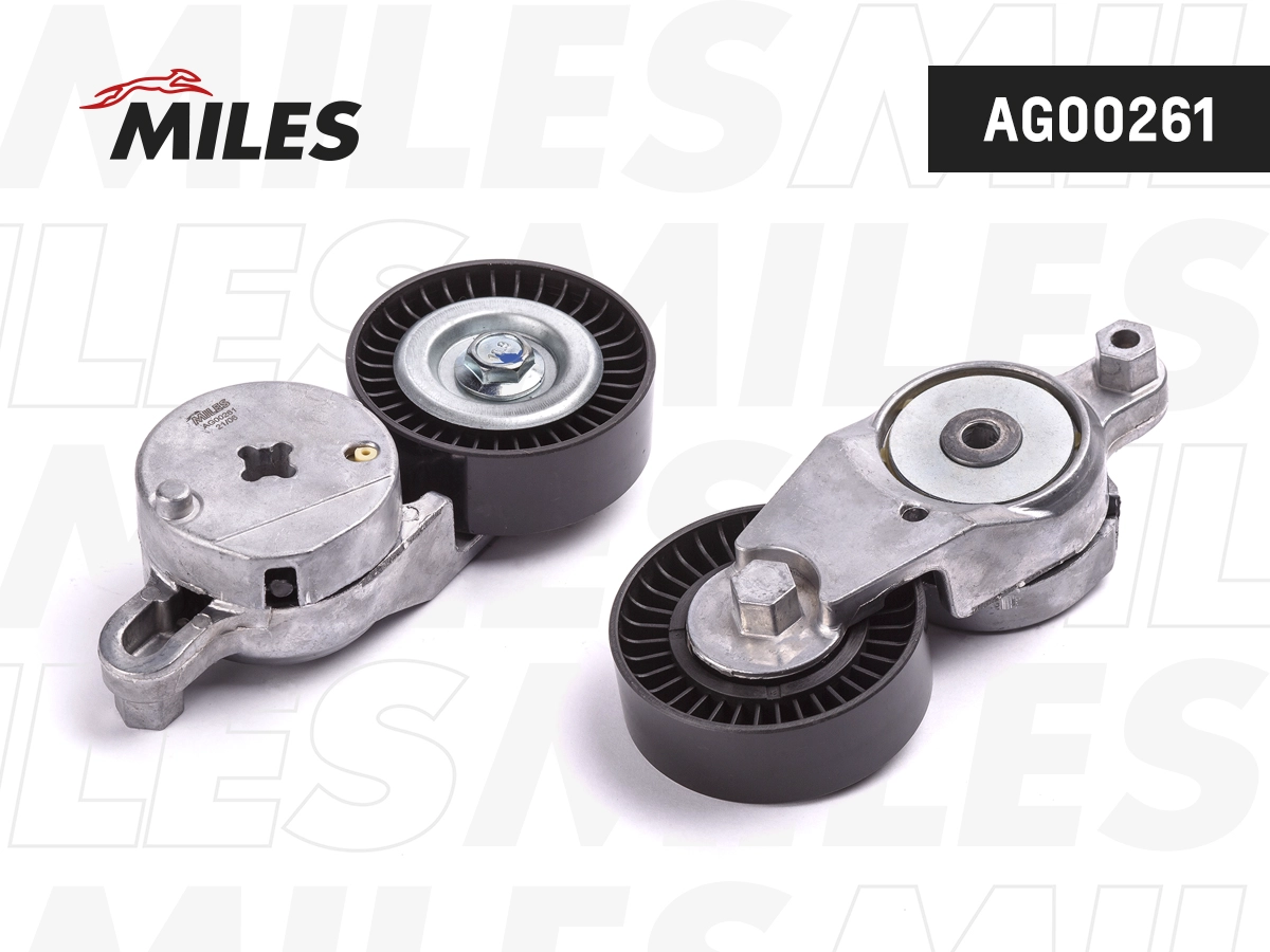AG00261