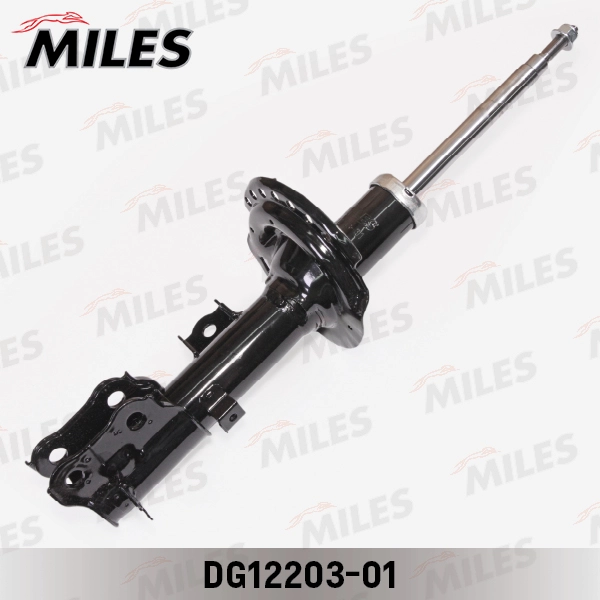 DG12203-01