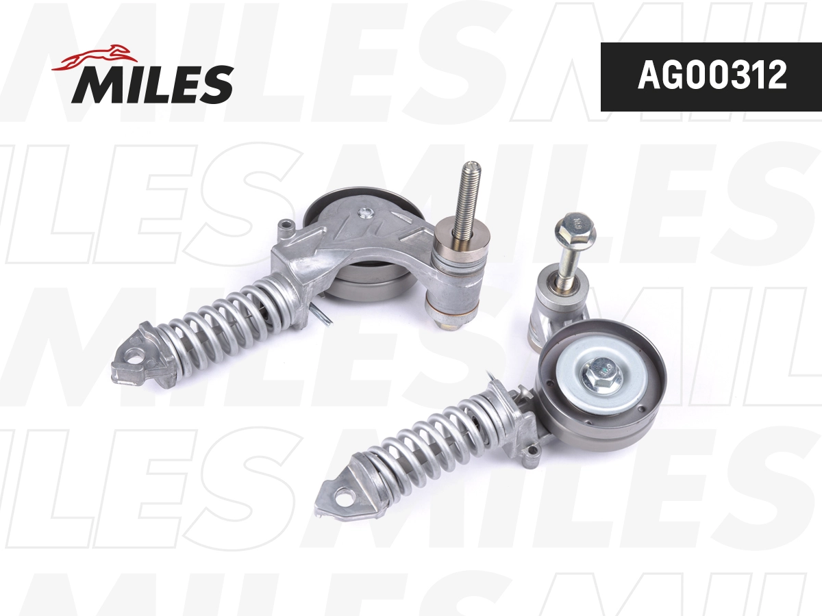 AG00312