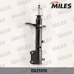 DG21010