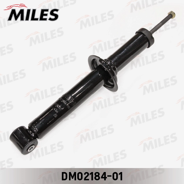 DM02184-01