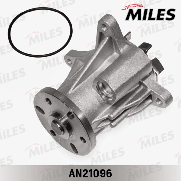 AN21096