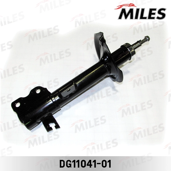 DG11041-01