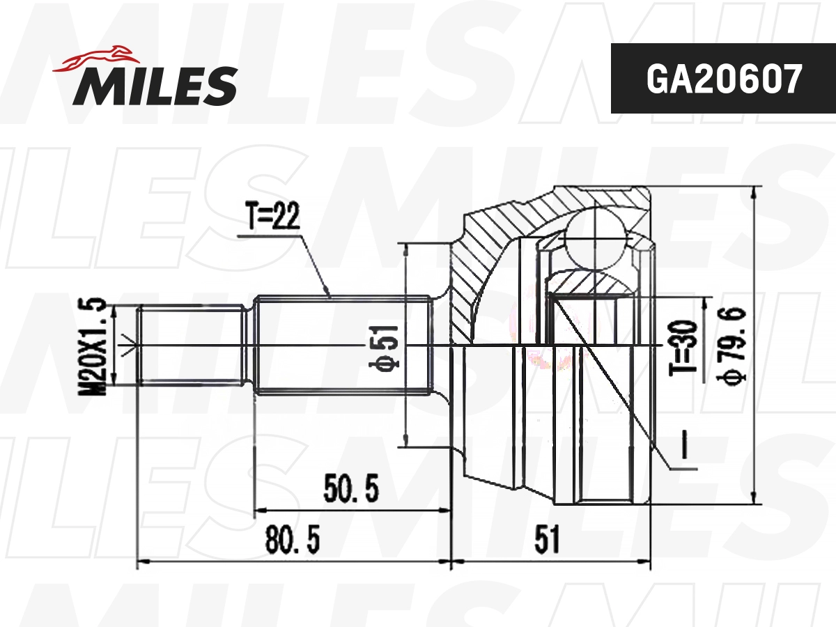 GA20607
