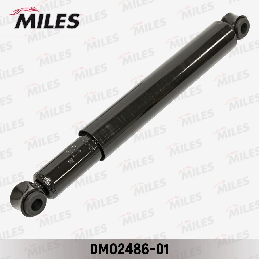 DM02486-01